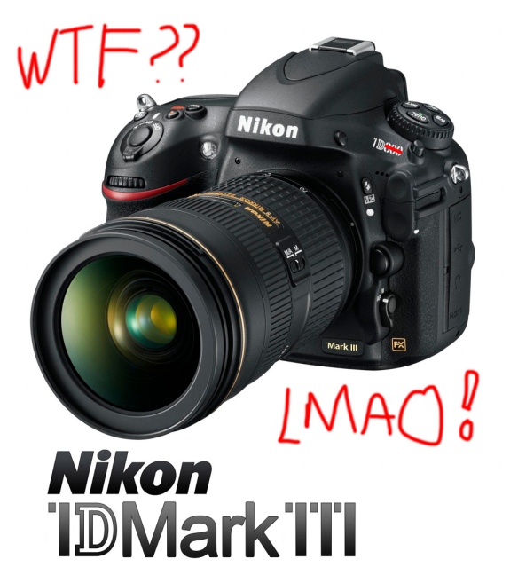 The Nikon 1D Mark III (AKA D800)